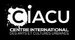 Centre international des arts et cultures urbaines